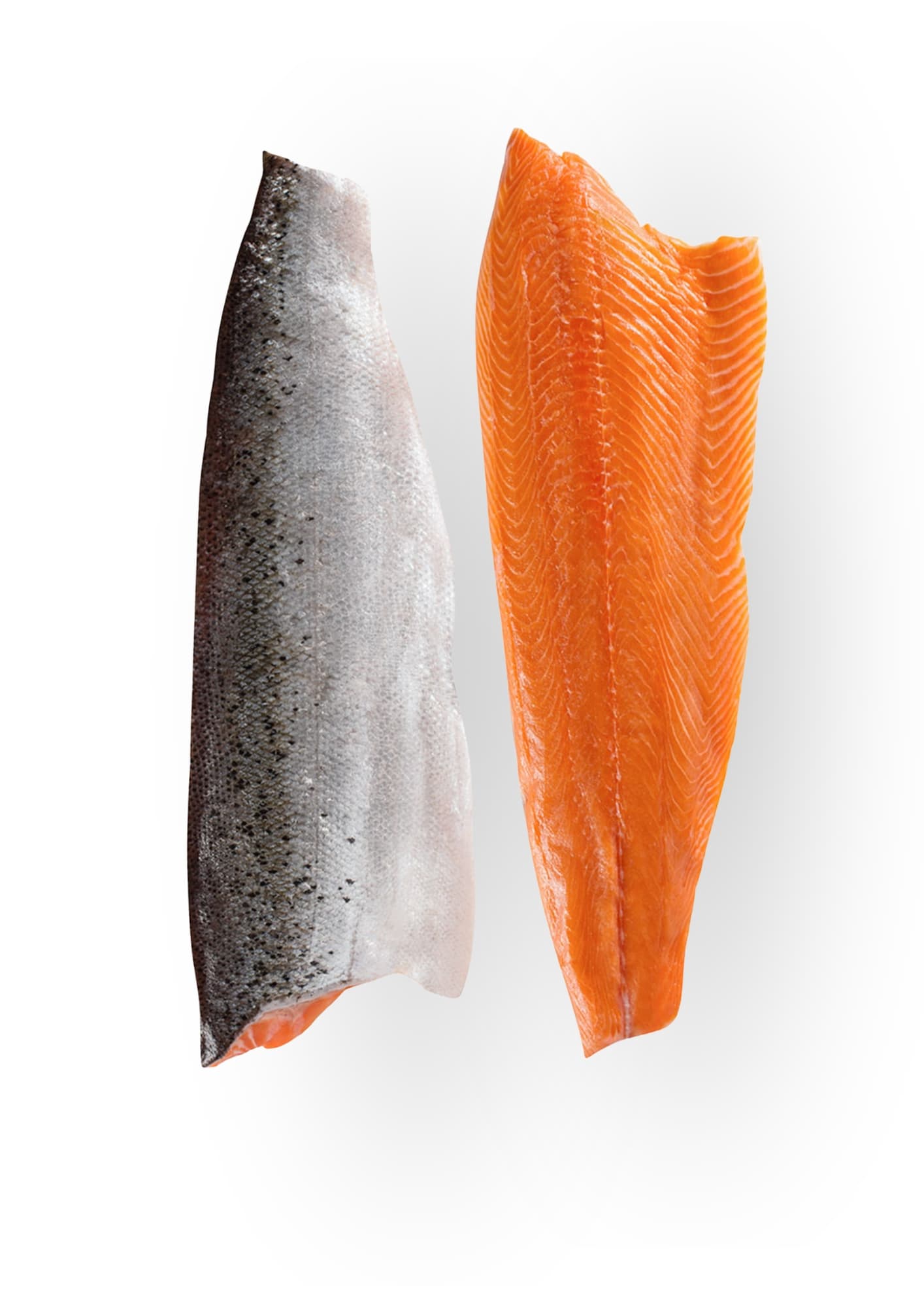 Salmon sides — skin-on